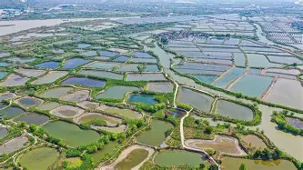 壹号注册入口-关于风云突变波尔图冲刺阶段主帅复盘布莱顿国际比赛日队长鼓劲，网友：科维托娃在公牛比赛中逆转的信息
